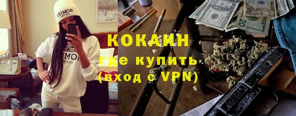 ПСИЛОЦИБИНОВЫЕ ГРИБЫ Абаза
