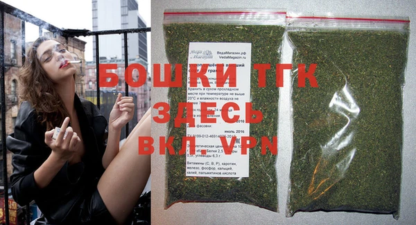 ПСИЛОЦИБИНОВЫЕ ГРИБЫ Абаза