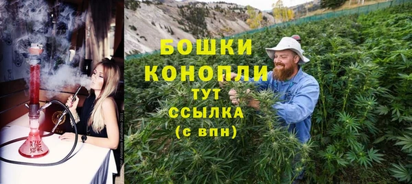 ПСИЛОЦИБИНОВЫЕ ГРИБЫ Абаза