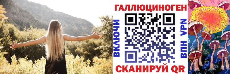 Галлюциногенные грибы Psilocybine cubensis  Дыгулыбгей 